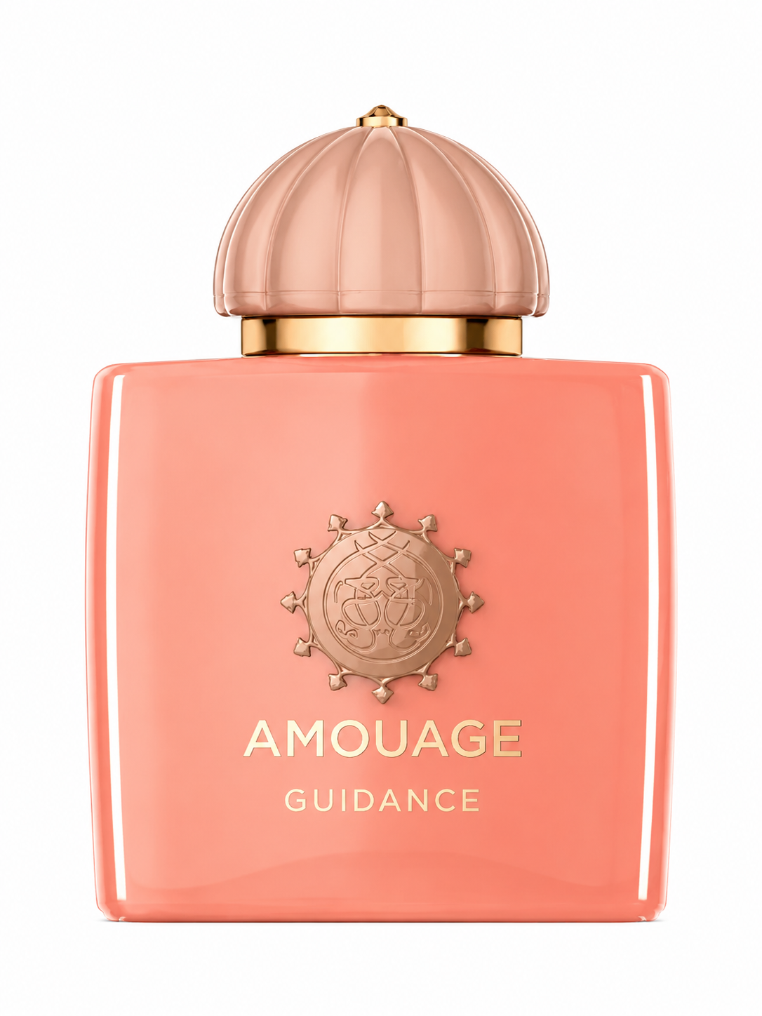 198A41AB-C0EE-47DF-88F8-64946F4D2E8A عطر ادکلن آمواژ گایدنس ۱۰۰ میل - Image 1